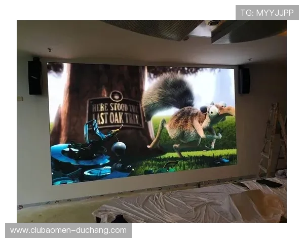 全面解析DS视讯的安全性与隐私保护措施保障用户权益的详细方案