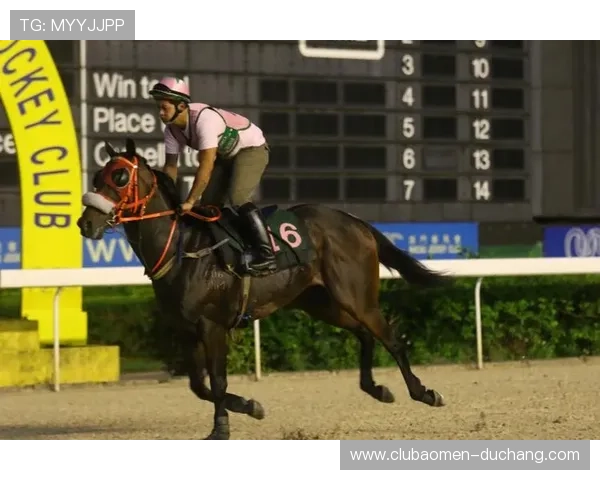 澳门赛马网站赛事直播，在线观看澳门赛马官方平台的实时赛事直播与精彩回放内容